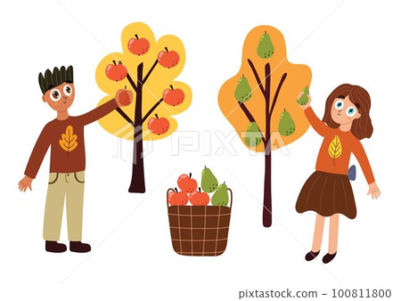 Cute boy and girl picking fruits in the basket. Autumn harvest kids at the garden Cute boy and girl picking fruits in the basket. Autumn harvest kids at the garden 100811800