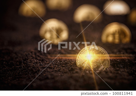 New virtual money 100811941