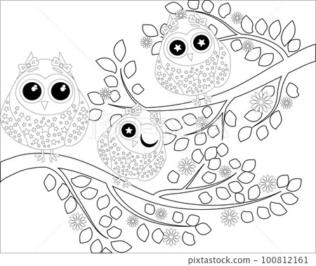 Coloring book for adult and older children. Coloring page with cute owl and floral frame. Outline drawing in zentangle style 100812161