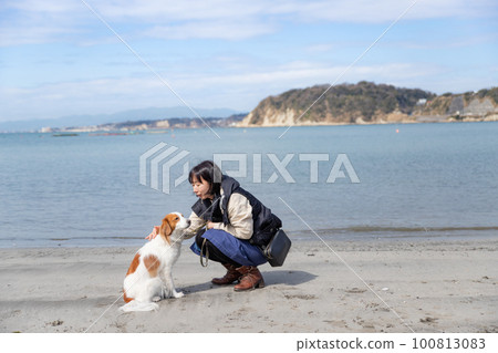 Woman stroking koykerhondje on the beach in spring Woman stroking koykerhondje on the beach in spring 100813083