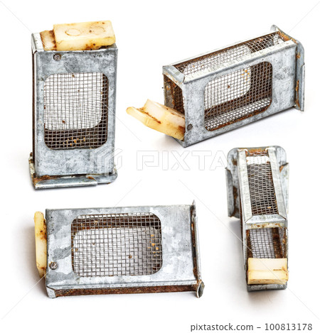 Bee cage Bee cage 100813178