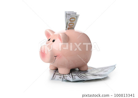 Piggy bank with dollars isolated on white background 100813341