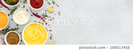 Different types of sauces in bowls 100813488