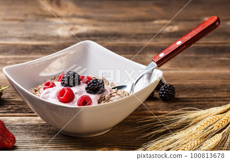 Oatmeal Oatmeal 100813678