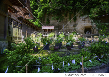 Kanazawa Hakkei Seto Shrine, a shrine surrounded by greenery 100815076