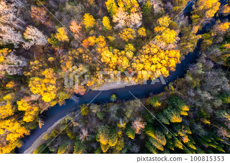 Small mountain river in autumn forest from a high point of view. 100815353