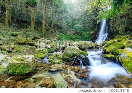 Winter Hanran Falls (Fukuoka City, Fukuoka Prefecture) 100815548