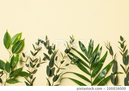 Concept of summertime, leaves, summer and nature concept Concept of summertime, leaves, summer and nature concept 100816000