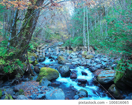 有紅葉的三岳縣立自然公園 油木澤溪流 100816065