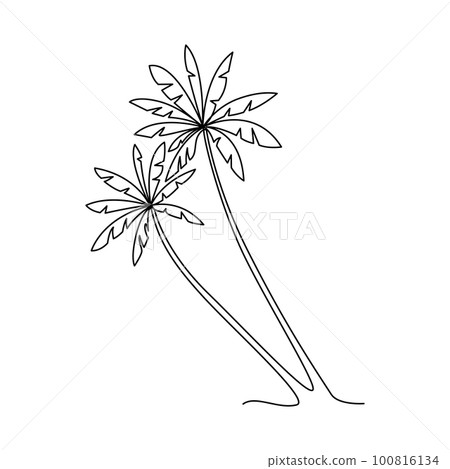 PALM TREE LINE ART. Vector palm. Tropical palm tree Continuous Linear Drawing. Single line art. Summer One Line object PALM TREE LINE ART. Vector palm. Tropical palm tree Continuous Linear Drawing. Single line art. Summer One Line object 100816134