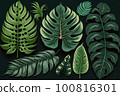 Tropical monstera leaf pattern on dark background  100816301