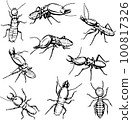 termite, the image of termites in various poses, in motion and foreshortening, black and white drawing, silhouette, vector, drawing 100817326