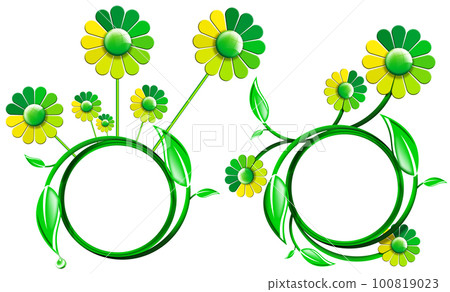 Frames with Green Leaves and Daisy Flowers Isolated on White Background 100819023