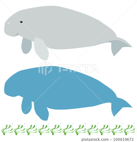 Manga style illustration and silhouette icon of dugong, border decoration set of eelgrass Manga style illustration and silhouette icon of dugong, border decoration set of eelgrass 100819672