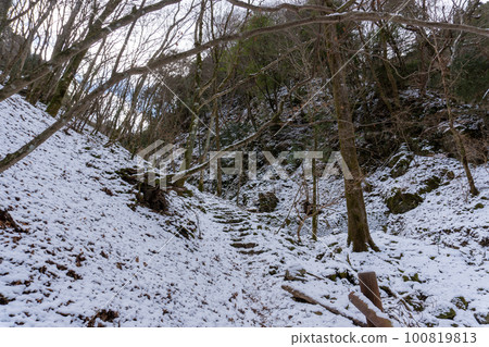伊豆山山脊步道 天城嶺 100819813