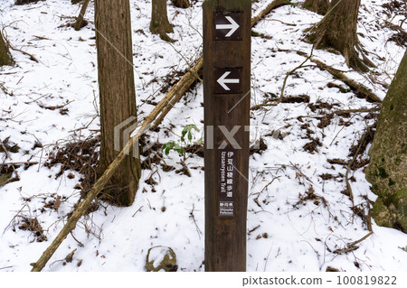 積雪殘留的伊豆山脊線步道 積雪殘留的伊豆山脊線步道 100819822