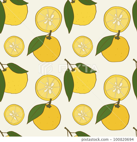 Seamless pattern with hand drawn yuzu fruits with leaves Seamless pattern with hand drawn yuzu fruits with leaves 100820694