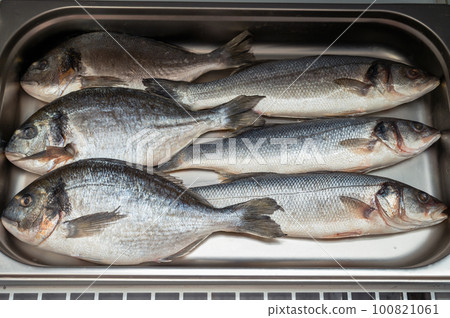 Fresh raw dorado and sibas fish 100821061