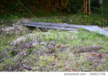 A wooden bridge on the way to Kuguri Falls standing in the weeds A wooden bridge on the way to Kuguri Falls standing in the weeds 100821789