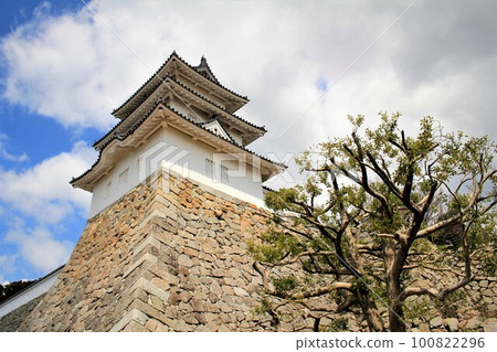 明石城堡遺址 明石城堡遺址 100822296