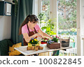 Middle-aged woman potting indoor spring plants and flowers 100822845