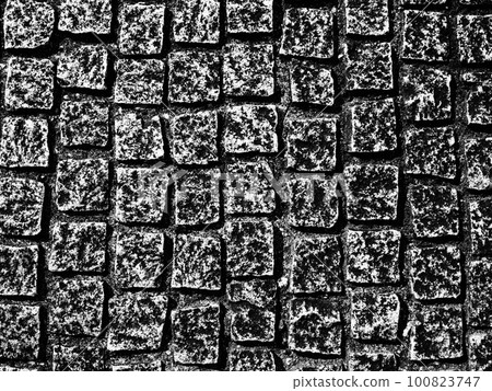 地面上堆滿了石頭。方形石頭。插畫風格的照片。單色。 100823747