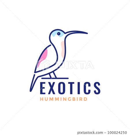 exotics bird hummingbird long beak line art modern minimal logo design vector 100824250