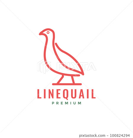 bird little beauty quails line simple logo design vector 100824294
