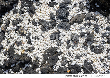 Black pebbles and white broken corals, Fuerteventura 100824558
