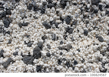 Black pebbles and white broken corals, Fuerteventura 100824567