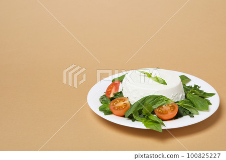 Concept of tasty dairy product - ricotta cheese, space for text Concept of tasty dairy product - ricotta cheese, space for text 100825227