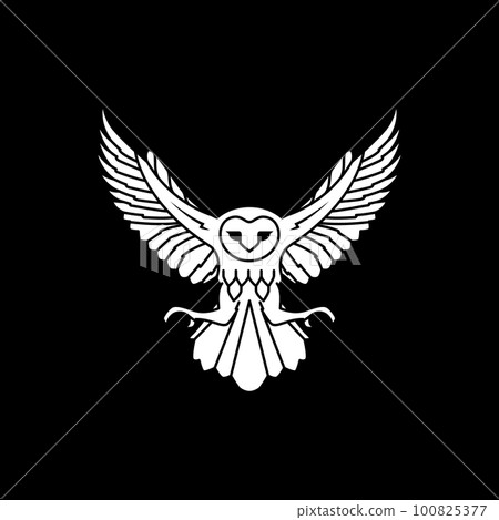 animal nocturnal flying barn owl hunting pounce dark night modern logo design vector animal nocturnal flying barn owl hunting pounce dark night modern logo design vector 100825377
