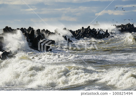 Storm in the Baltic Sea, waves hitting the breakwater concrete tetrapods 100825494