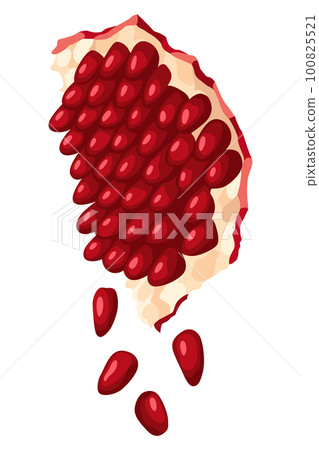 Pomegranate icon. Cartoon isolated summer garnet fruit with ruby seeds, cut slice. Advertising tropical ripe fruit. Vector illustration of healthy food 100825521