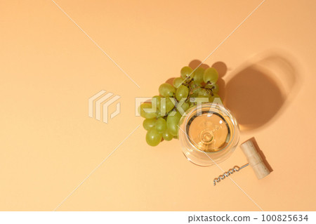 Concept of delicious alcohol drink, tasty wine 100825634