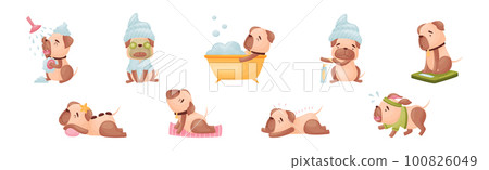 Cartoon Pug Dog Character Doing Spa and Hygiene Procedures Vector Set Cartoon Pug Dog Character Doing Spa and Hygiene Procedures Vector Set 100826049