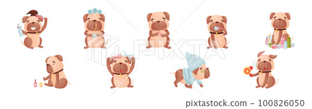 Cartoon Pug Dog Character Doing Spa and Hygiene Procedures Vector Set 100826050