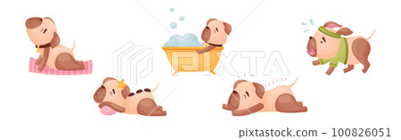 Cartoon Pug Dog Character Doing Spa and Hygiene Procedures Vector Set 100826051