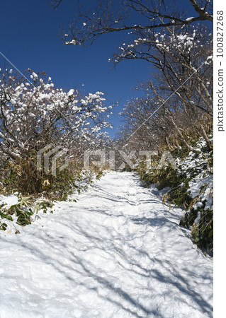 Tochigi Prefecture Nasuyama Spring remaining snow season Mountain trail scenery 100827268