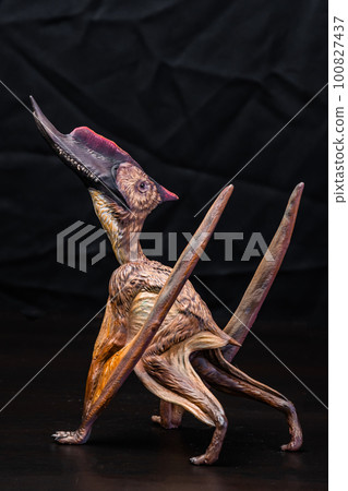 The Dsungaripterus dinosaur in the dark The Dsungaripterus dinosaur in the dark 100827437