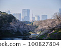 Cherry blossoms and skyscrapers reflected in the Chidorigafuchi moat 100827804