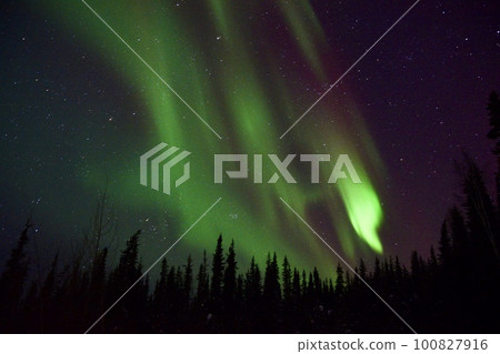 來自費爾班克斯 Airbnb 的 Aurora 100827916