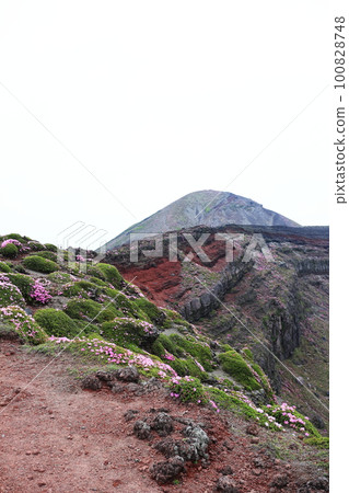 從馬背上看到的高千峰峰頂 100828748