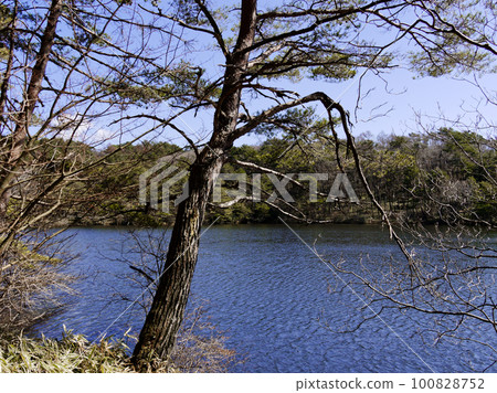 Man-made lake Nenoue Kogen Man-made lake Nenoue Kogen 100828752