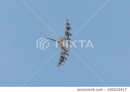 皇家空軍颱風 FGR4 轉向 皇家空軍颱風 FGR4 轉向 100828917