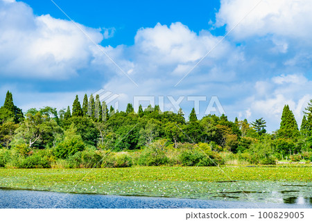 新潟妙高高原/井森池 新潟妙高高原/井森池 100829005