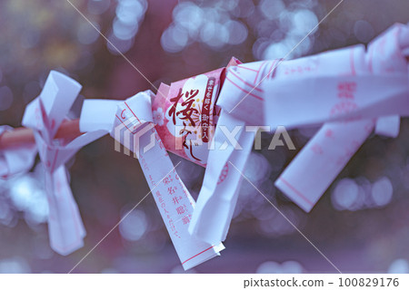 與時令櫻花神簽相連的靖國神社風景 100829176