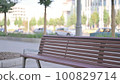 Empty Bench Near Road Outdoor in Morning 100829714