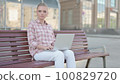 Rejecting Young Woman in Denial While using Laptop Sitting Outdoor on Bench 100829720