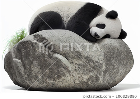 Adorable giant panda bear sleeping 100829880